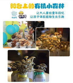 让孩子观察生命成长也能做公益 棒棒弹爱心蘑菇火爆预售中 绝对超值更有趣