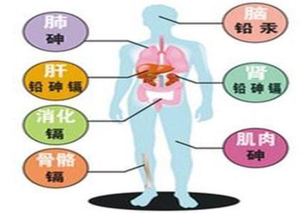 孩子健康要防垃圾食品 更重要的是防重金属超标