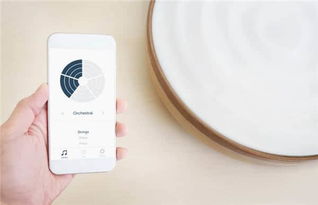 这些产品刚刚拿到了最低调的idea设计大奖 创意可一点都不低调呢